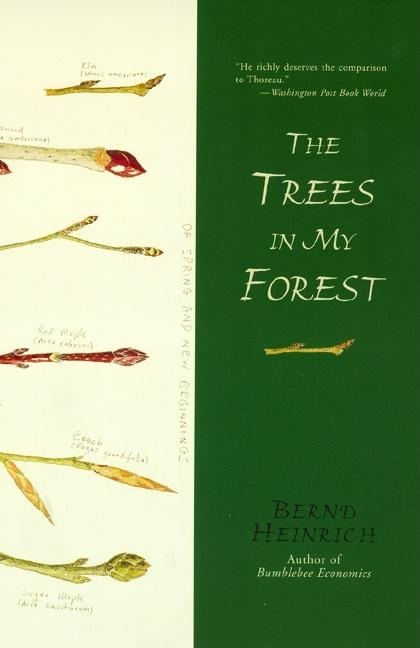 Book cover for Trees in My Forest