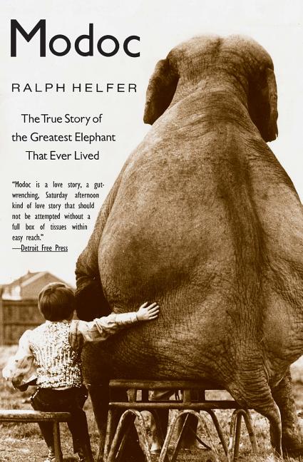 Book cover for Modoc: The True Story of the Greatest Elephant That Ever Lived