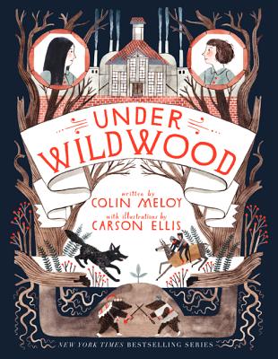 Book cover for Under Wildwood