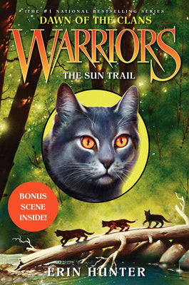 Book cover for The Sun Trail