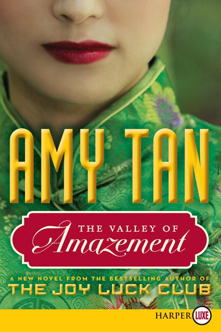 Book cover for Valley of Amazement