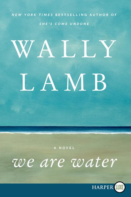 Book cover for We Are Water