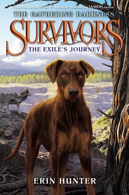 Book cover for Survivors: The Gathering Darkness: The Exile's Journey