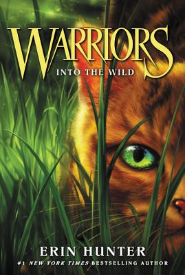 Book cover for Warriors #1: Into the Wild