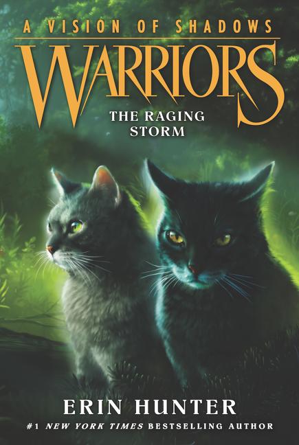 Book cover for Warriors: A Vision of Shadows: The Raging Storm