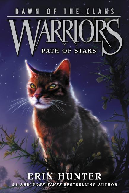 Book cover for Warriors: Dawn of the Clans #6: Path of Stars