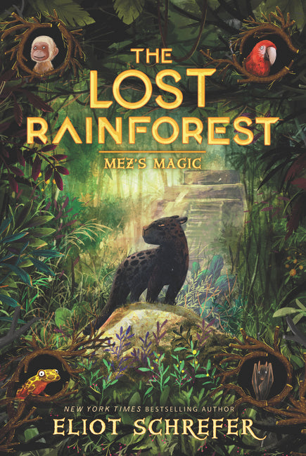Book cover for Lost Rainforest: Mez's Magic