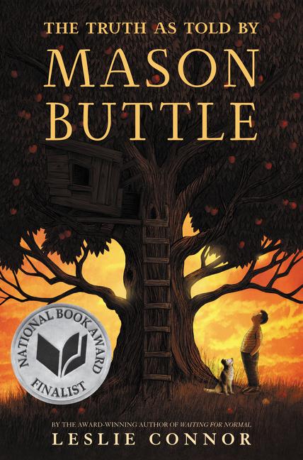 Book cover for The Truth as Told by Mason Buttle