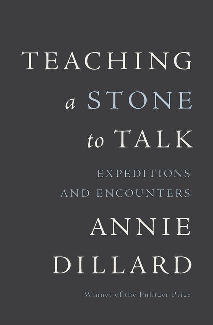 Book cover for Teaching a Stone to Talk