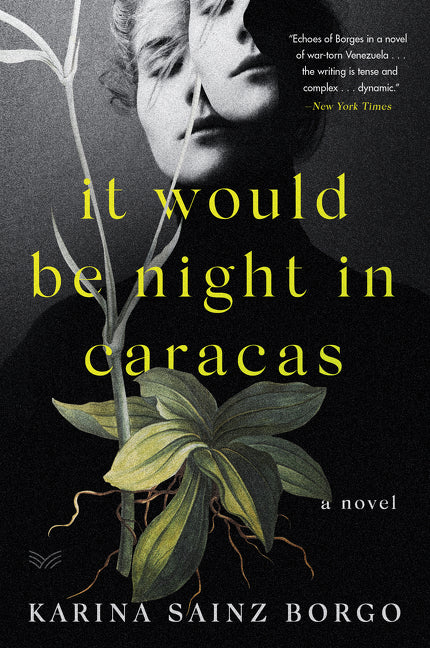 Book cover for It Would Be Night in Caracas