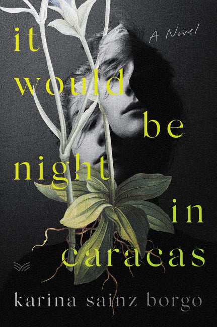 Book cover for It Would Be Night in Caracas