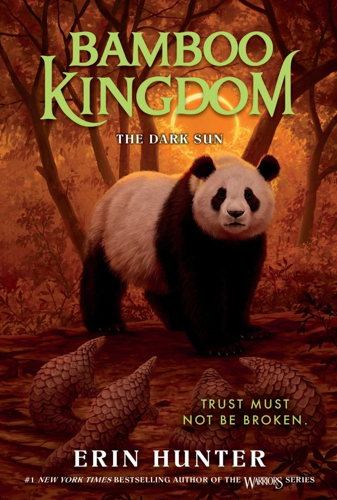 Book cover for Bamboo Kingdom #4: The Dark Sun