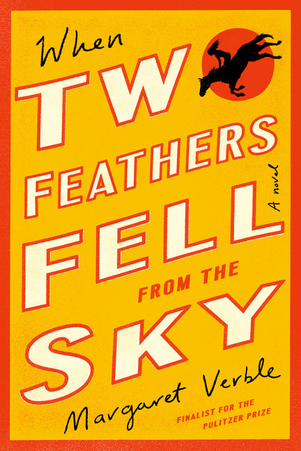 Book cover for When Two Feathers Fell from the Sky