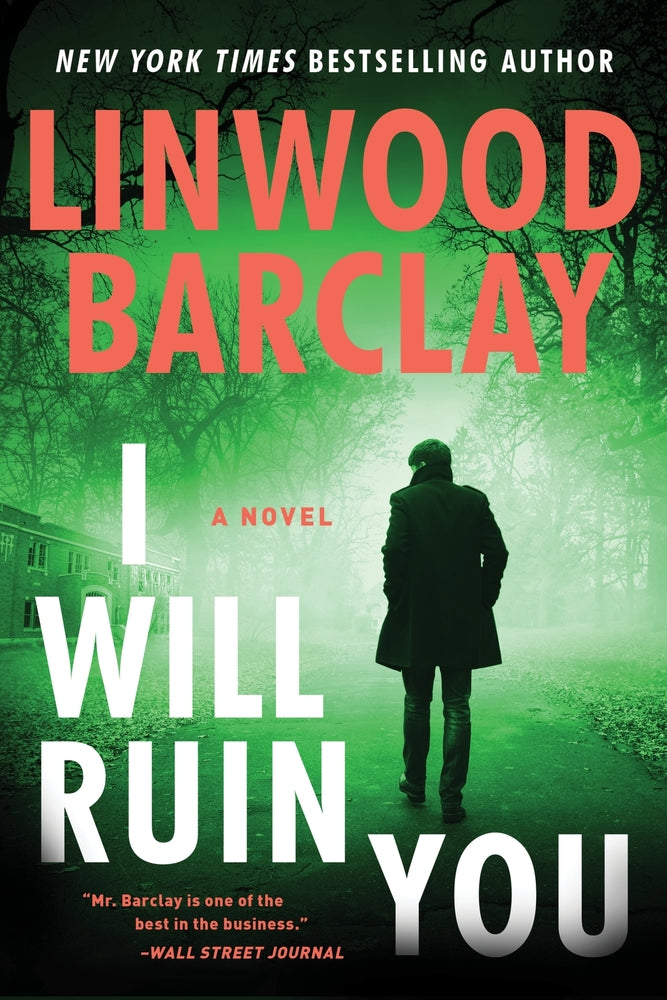 Book cover for I Will Ruin You
