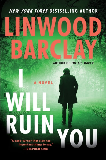 Book cover for I Will Ruin You