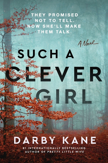 Book cover for Such a Clever Girl