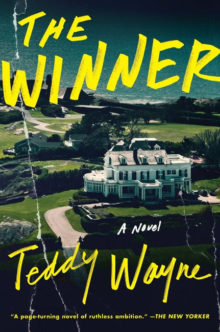 Book cover for Winner