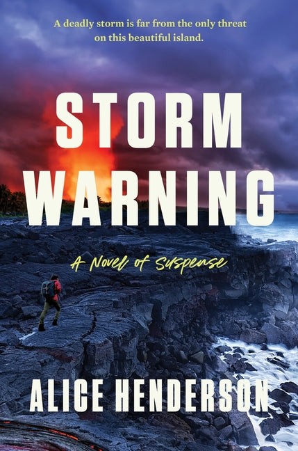Book cover for Storm Warning: A Novel of Suspense