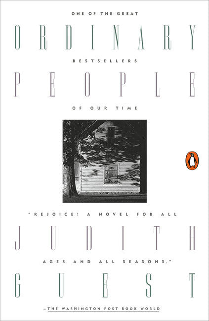 Book cover for Ordinary People