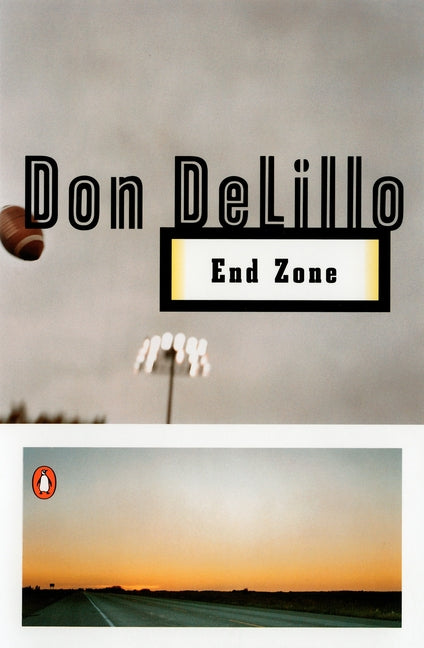 Book cover for End Zone