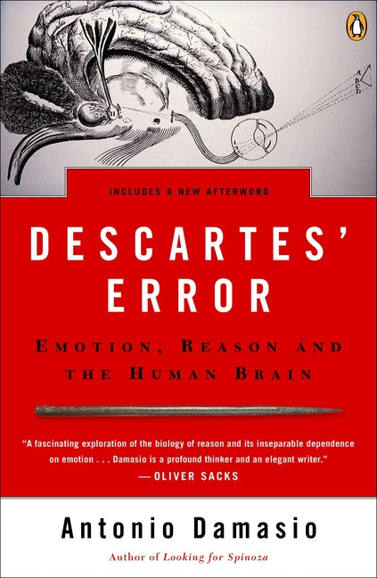 Book cover for Descartes' Error: Emotion, Reason, and the Human Brain