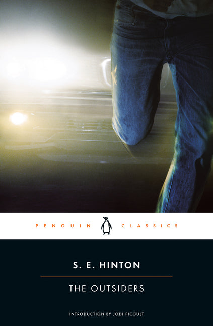 Book cover for The Outsiders