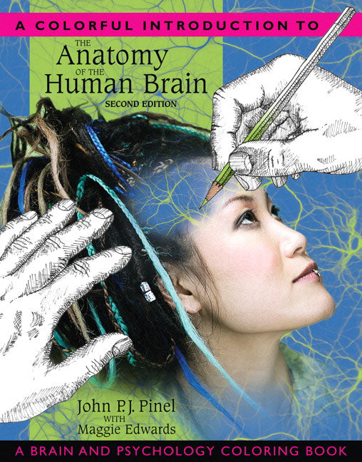 Book cover for A Colorful Introduction to the Anatomy of the Human Brain: A Brain and Psychology Coloring Book