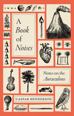 Book cover for A Book of Noises: Notes on the Auraculous