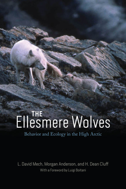 Book cover for Ellesmere Wolves: Behavior and Ecology in the High Arctic