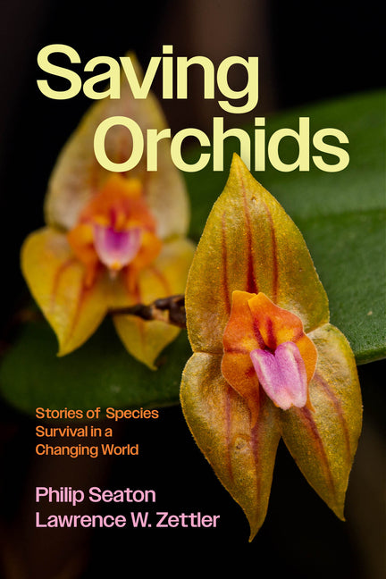 Book cover for Saving Orchids: Stories of Species Survival in a Changing World