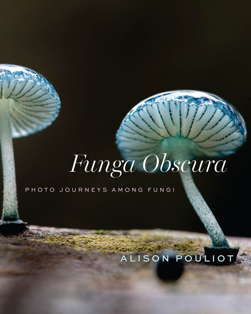 Book cover for Funga Obscura: Photo Journeys Among Fungi