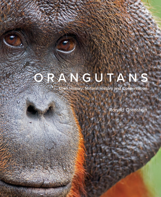 Book cover for Orangutans: Their History, Natural History and Conservation