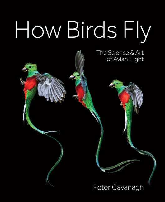 Book cover for How Birds Fly: The Science and Art of Avian Flight