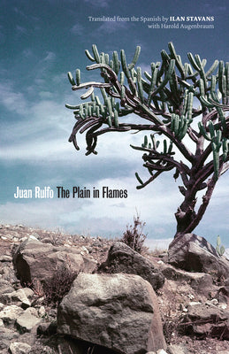 Book cover for The Plain in Flames