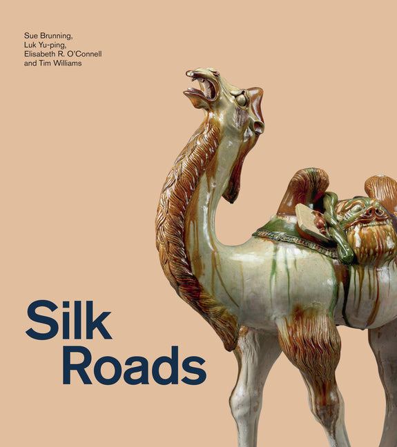 Book cover for Silk Roads