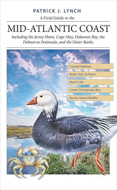 Book cover for A Field Guide to the Mid-Atlantic Coast: Including the Jersey Shore, Cape May, Delaware Bay, the Delmarva Peninsula, and the Outer Banks