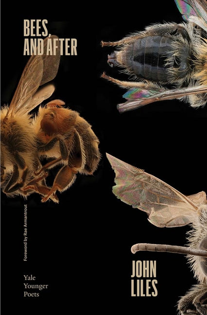 Book cover for Bees, and After: Volume 119