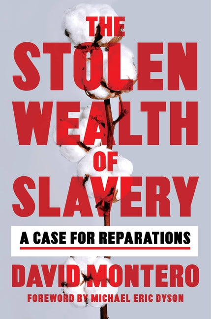 Book cover for The Stolen Wealth of Slavery: A Case for Reparations