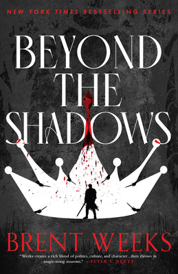 Book cover for Beyond the Shadows