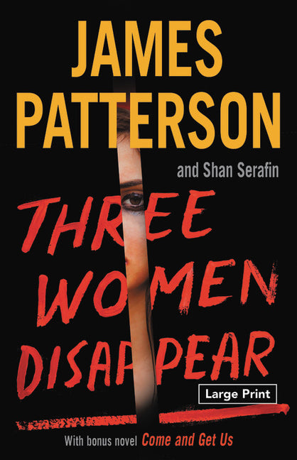 Book cover for Three Women Disappear