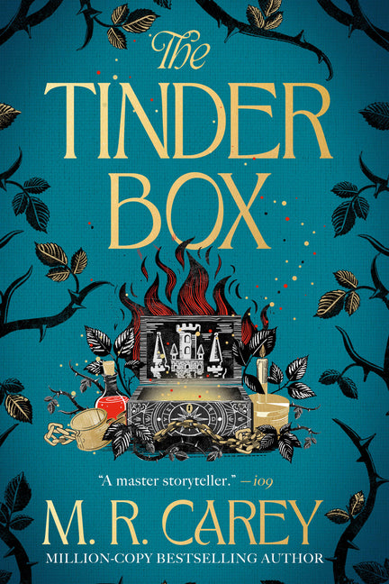 Book cover for Tinder Box