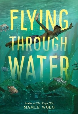 Book cover for Flying Through Water