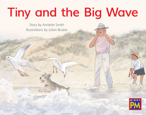 Book cover for Tiny and the Big Wave: Leveled Reader Yellow Fiction Level 8 Grade 1