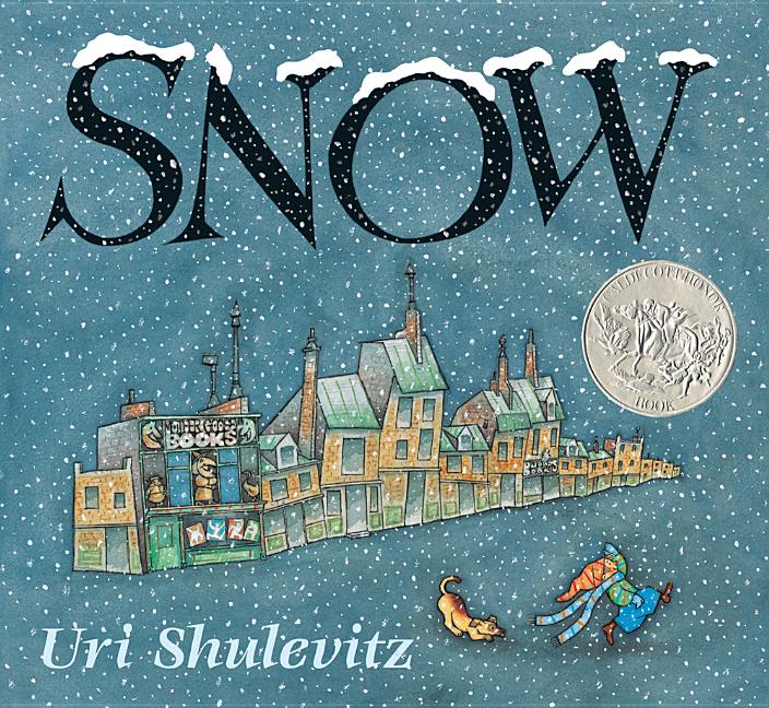 Book cover for Snow