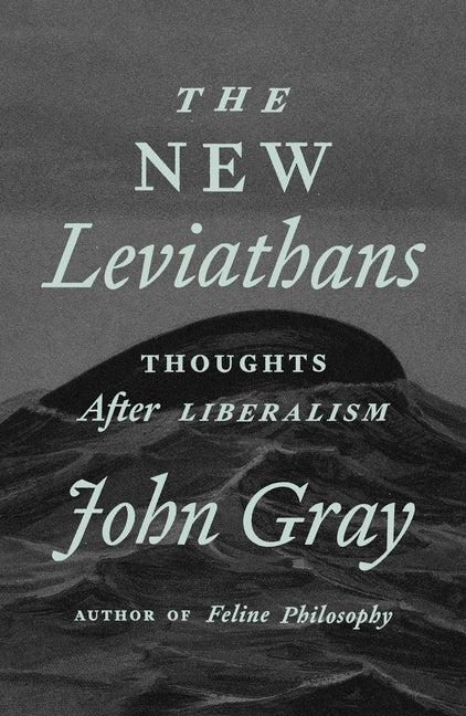 Book cover for New Leviathans: Thoughts After Liberalism