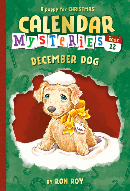 Book cover for December Dog
