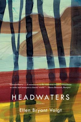 Book cover for Headwaters
