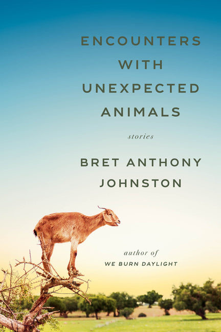 Book cover for Encounters with Unexpected Animals: Stories