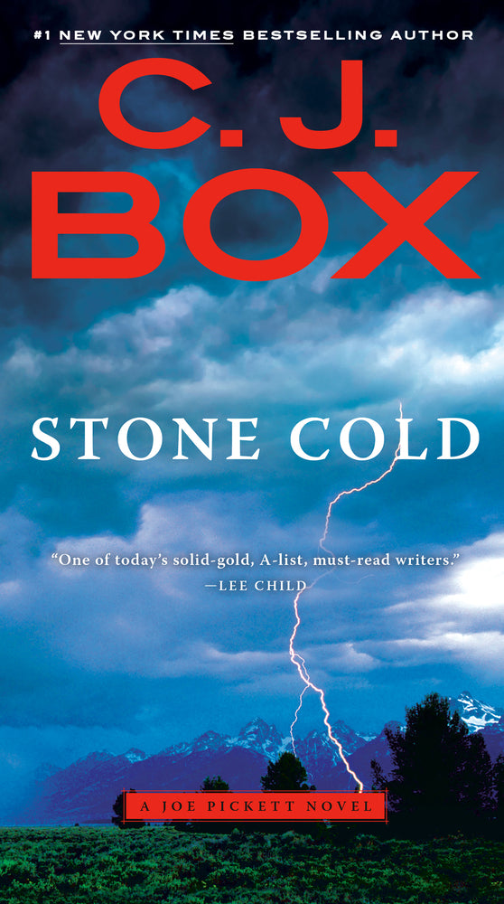 Book cover for Stone Cold