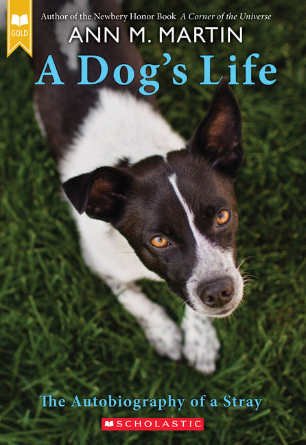 Book cover for Dog's Life: The Autobiography of a Stray (Scholastic Gold)